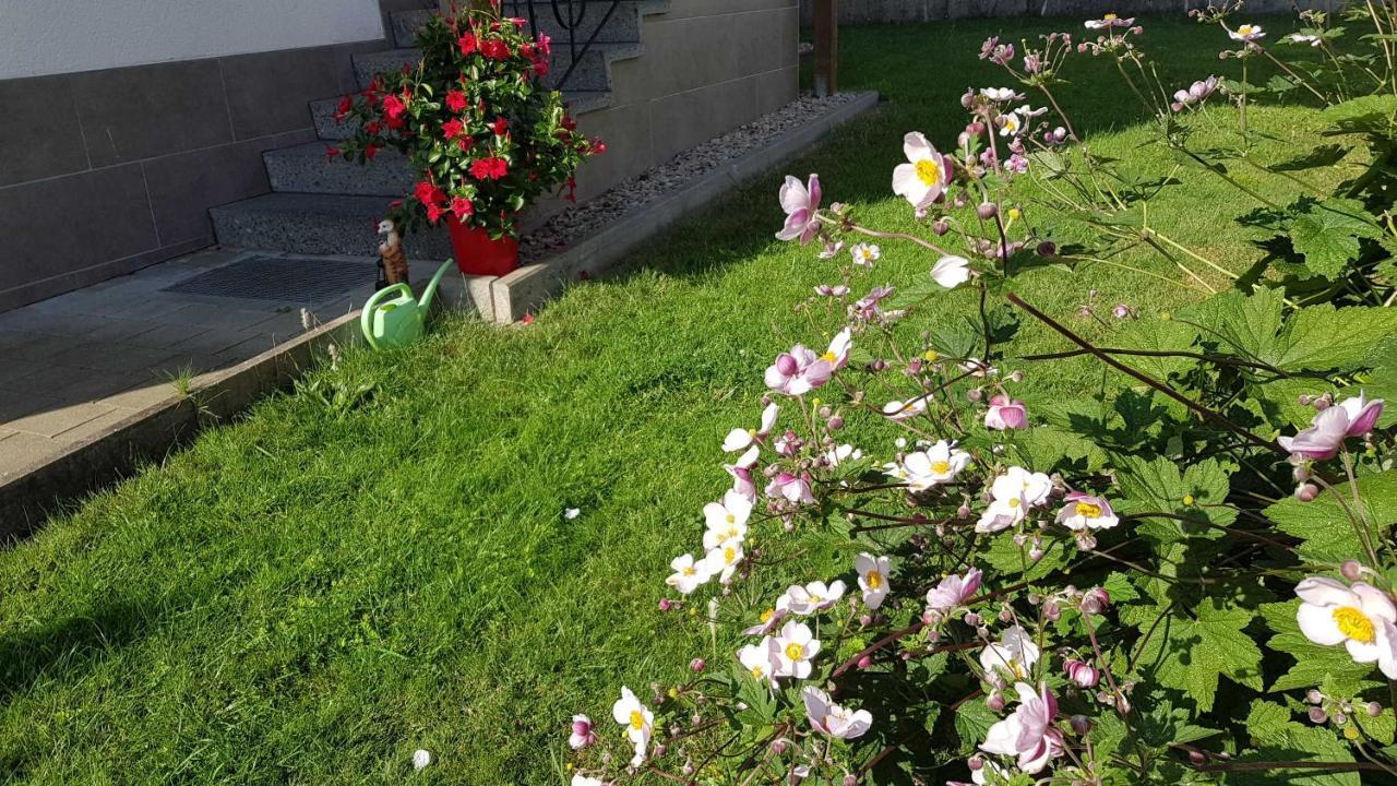 Ferienwohnung Schwarz Gasseldorf Buitenkant foto